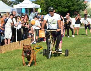 Daniel Zdarsky a jeho Bull show DSC 9631 00001