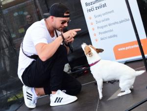 Petera Pechu jeho pejsek poskloucha na slovo DSC 9066 00001